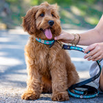 Charger l'image dans la galerie, Collier Seashell