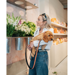 Afbeelding laden in galerijweergave, Hondenleiband - Madelaine