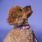 Charger l'image dans la galerie, Collier Olga