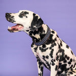 Load image into Gallery viewer, Chapka Collar