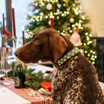 Charger l'image dans la galerie, Collier Riviera