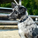 Load image into Gallery viewer, Collier Silver