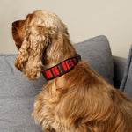 Charger l'image dans la galerie, Collier Ayrton