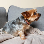 Charger l'image dans la galerie, Collier Gigi