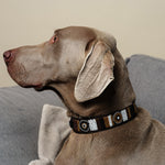 Charger l'image dans la galerie, Collier James