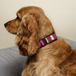 Charger l'image dans la galerie, Collier Lady