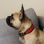 Load image into Gallery viewer, Poppy Collar