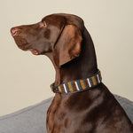 Load image into Gallery viewer, Titan Collar