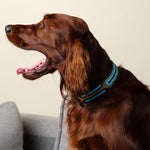 Charger l'image dans la galerie, Collier Travis