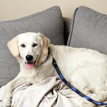 Charger l'image dans la galerie, Laisse Chapka