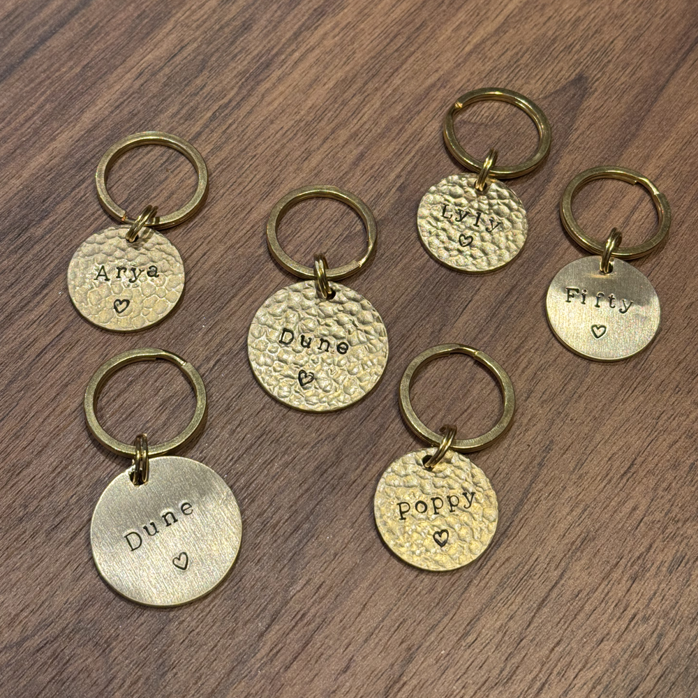 Médaille pour chien en laiton martelée Gigi