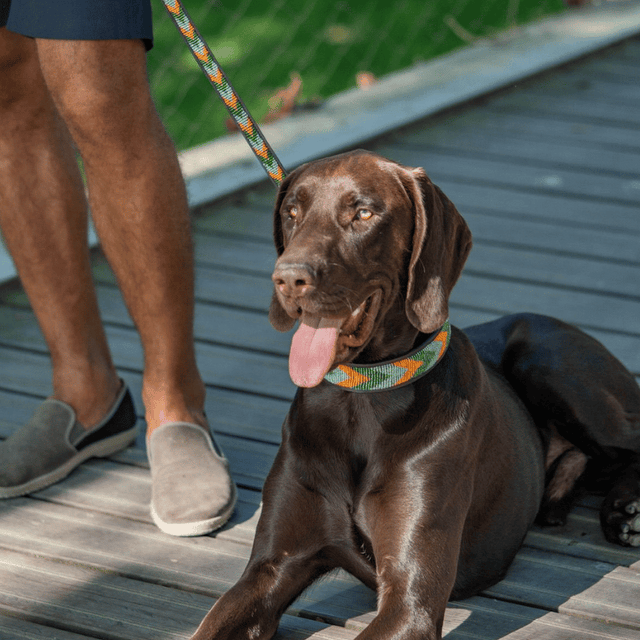 Oslo — Collier Chien - Clémentine