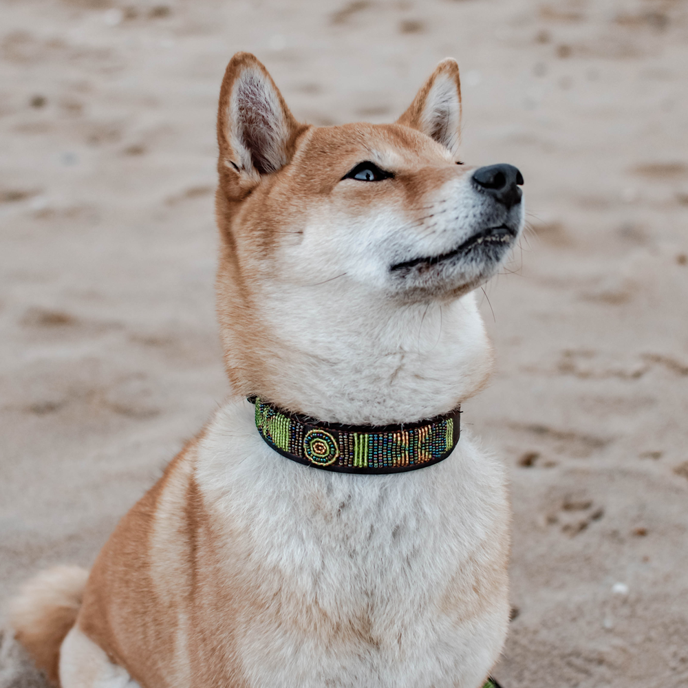Collier pour chien en perles et cuir Gigi Rudy