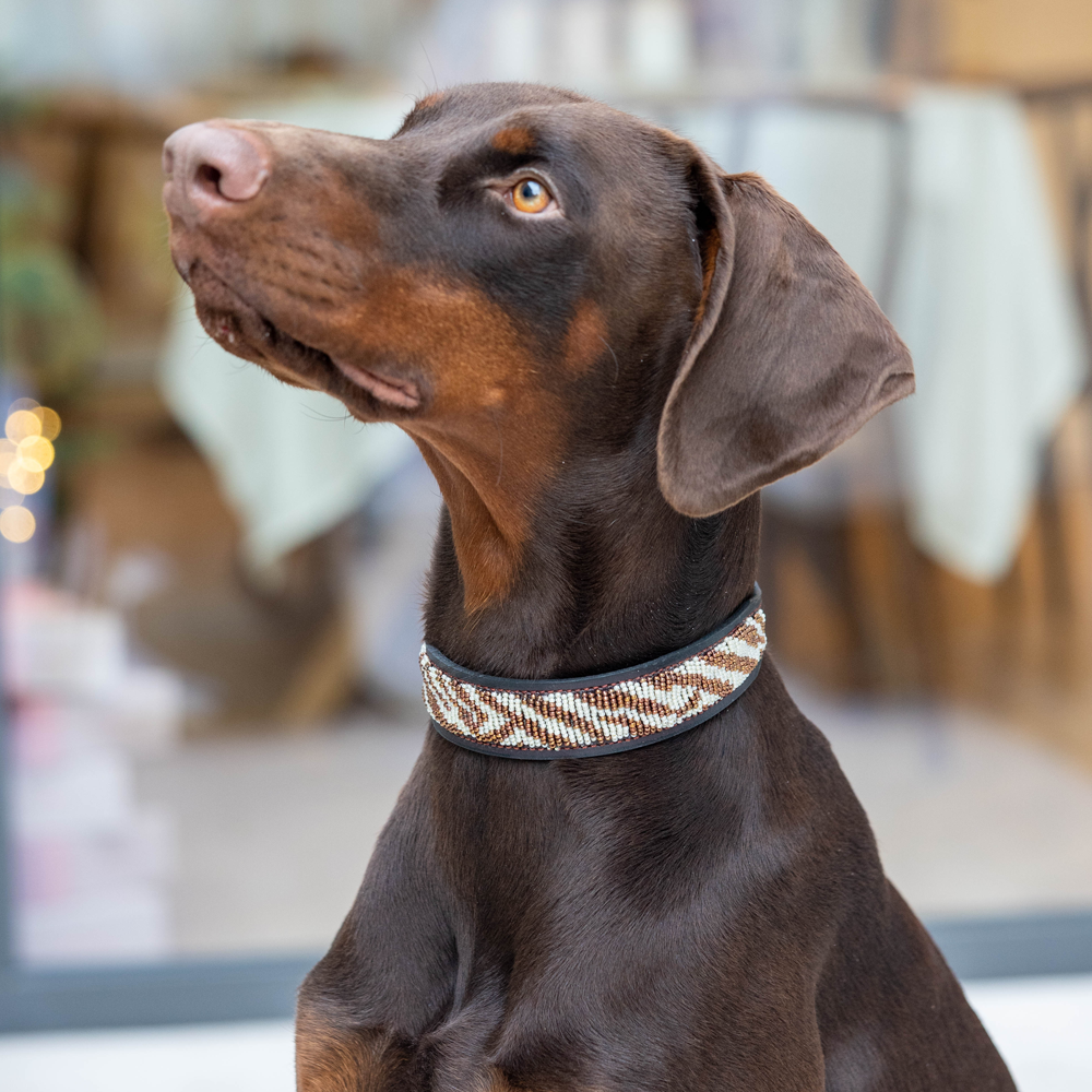 Collier pour chien en perles et cuir Gigi Sahara