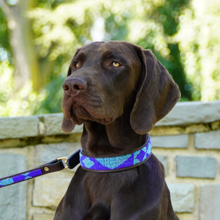 Collier pour chien en perles et cuir Gigi Azure