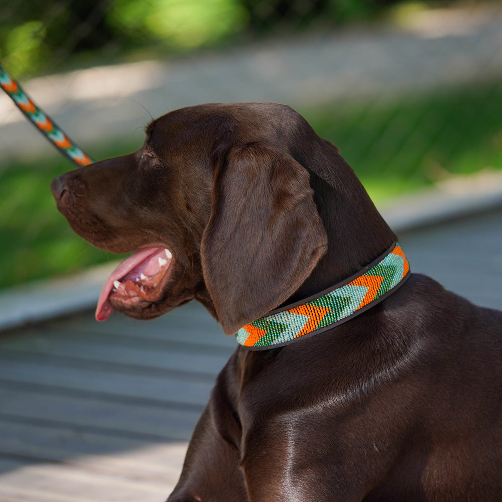 Collier pour chien en perles et cuir Gigi Clémentine