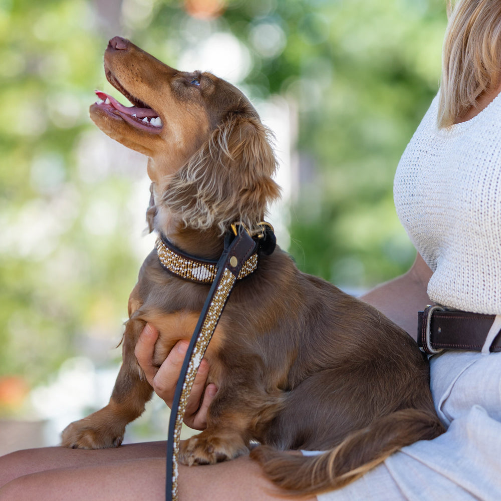 Collier pour chien en perles et cuir Gigi Coast