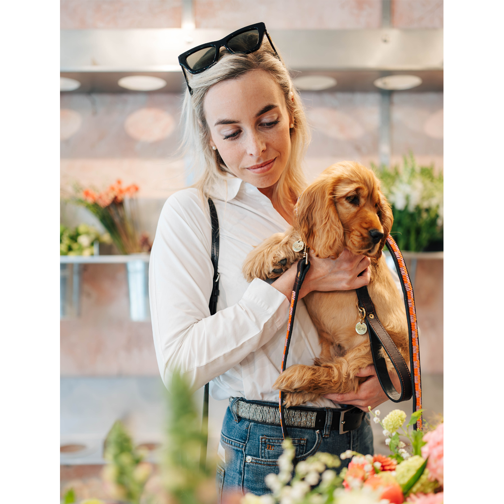 Laisse Chien - Madelaine