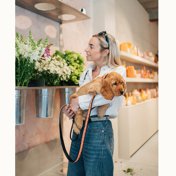 Laisse Chien - Madelaine