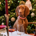 Charger l&#39;image dans la galerie, Collier Madelaine
