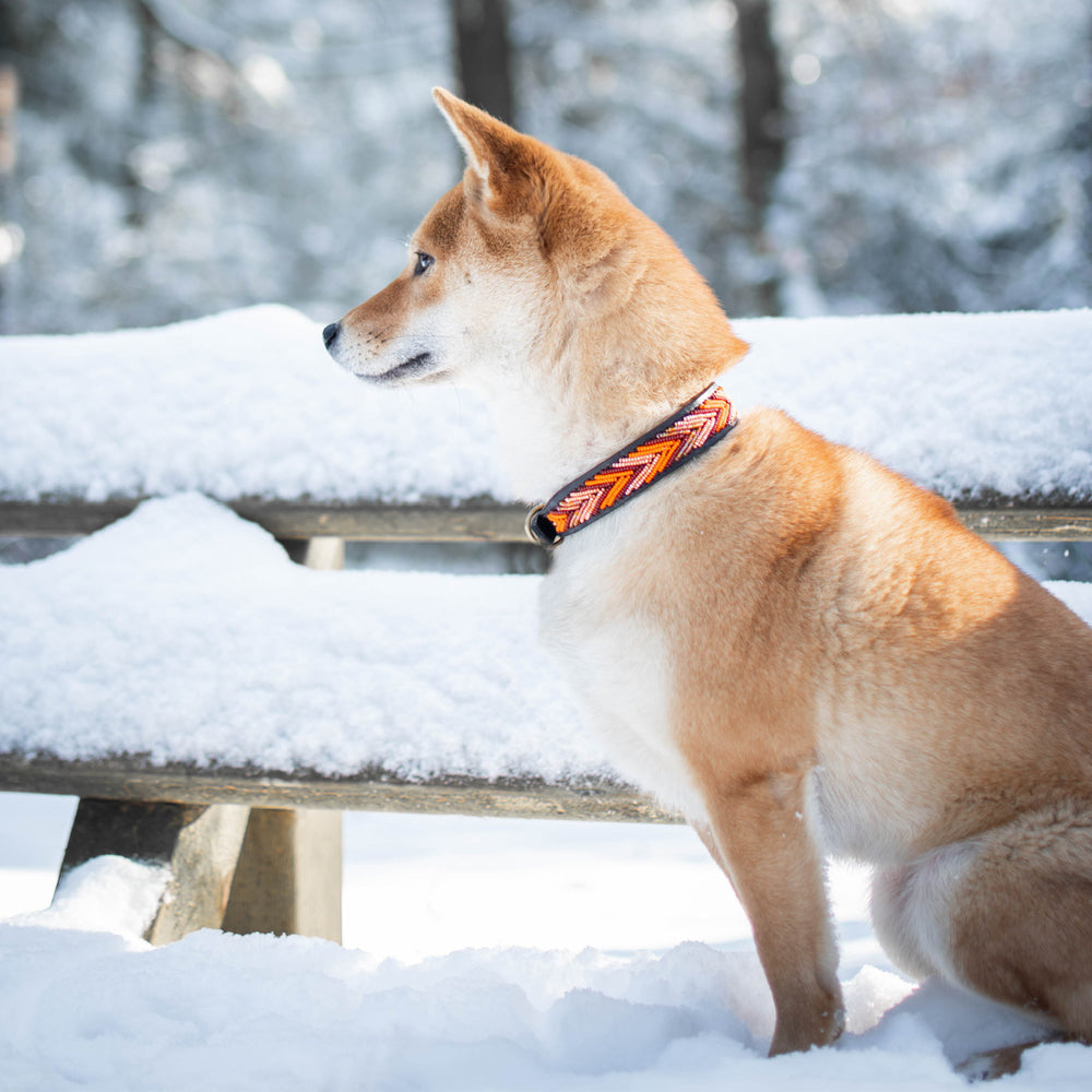 Collier pour chien en perles et cuir Gigi Katniss