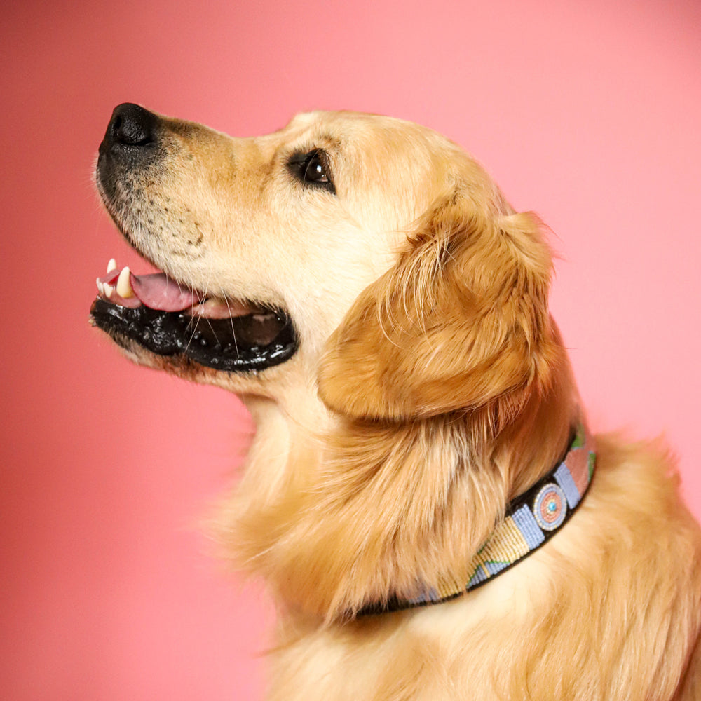 Collier pour chien en perles et cuir Gigi Charlie