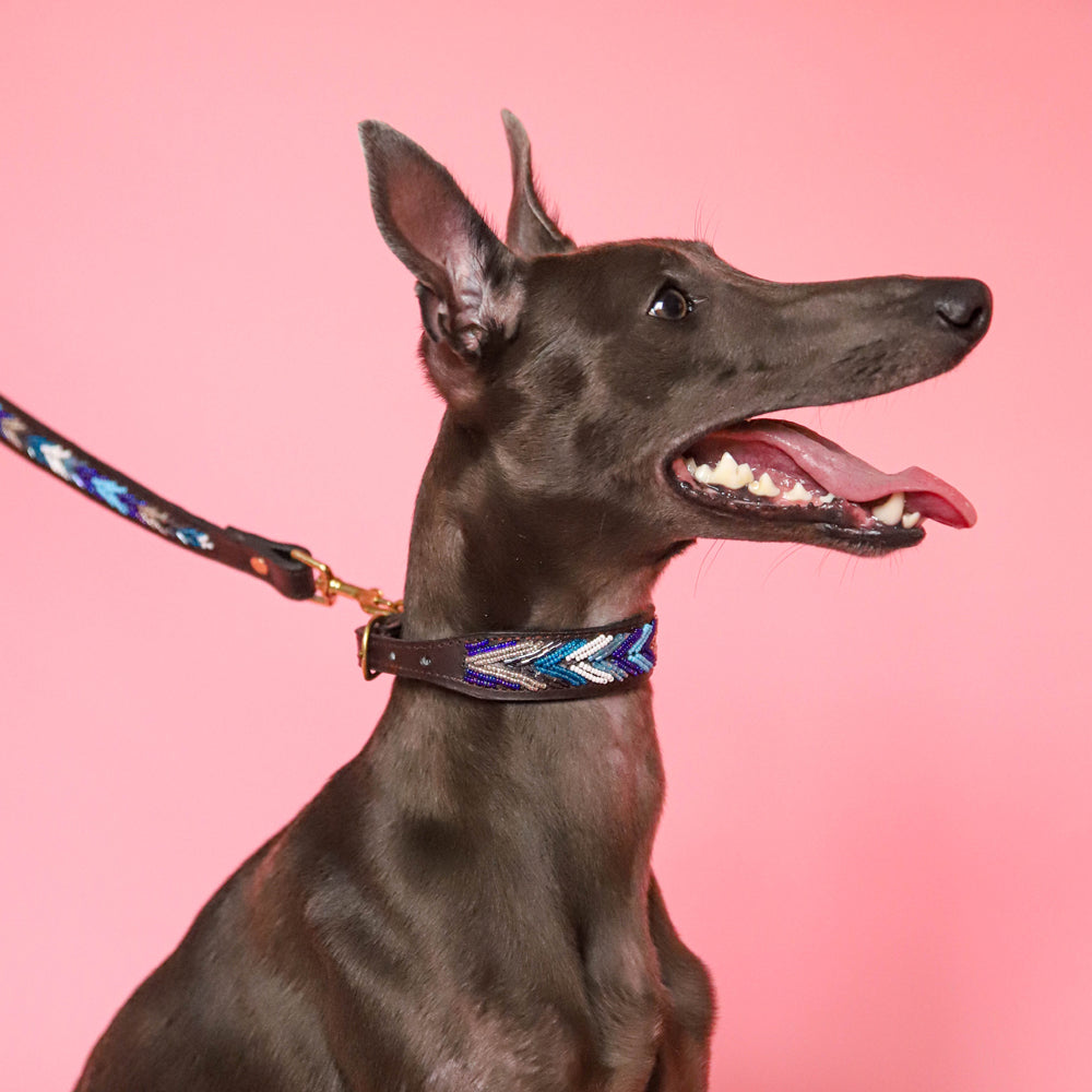 Collier pour chien en perles et cuir Gigi Dito