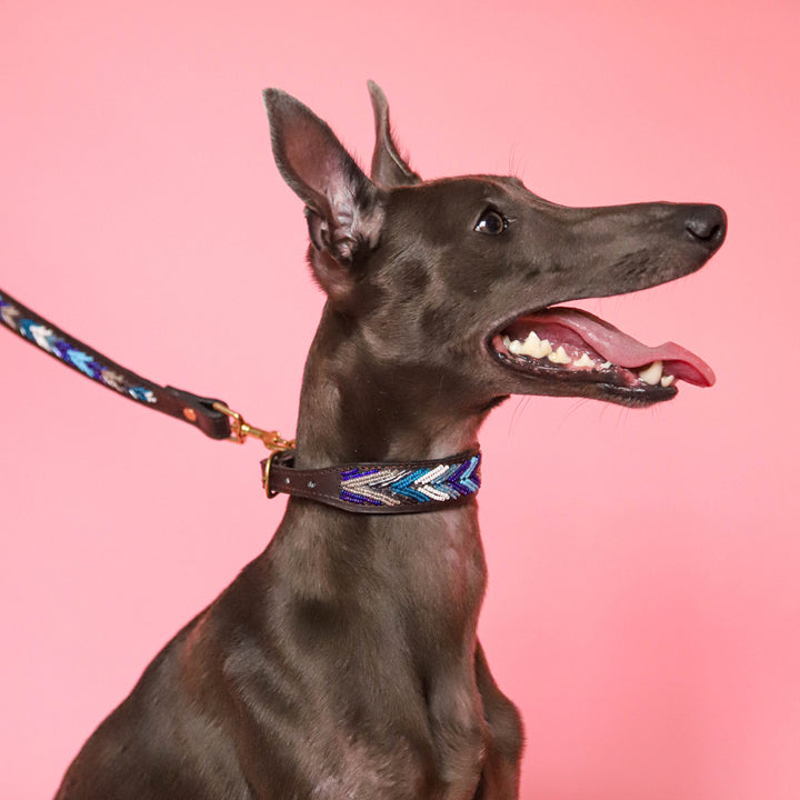 Collier pour chien en perles et cuir Gigi Dito