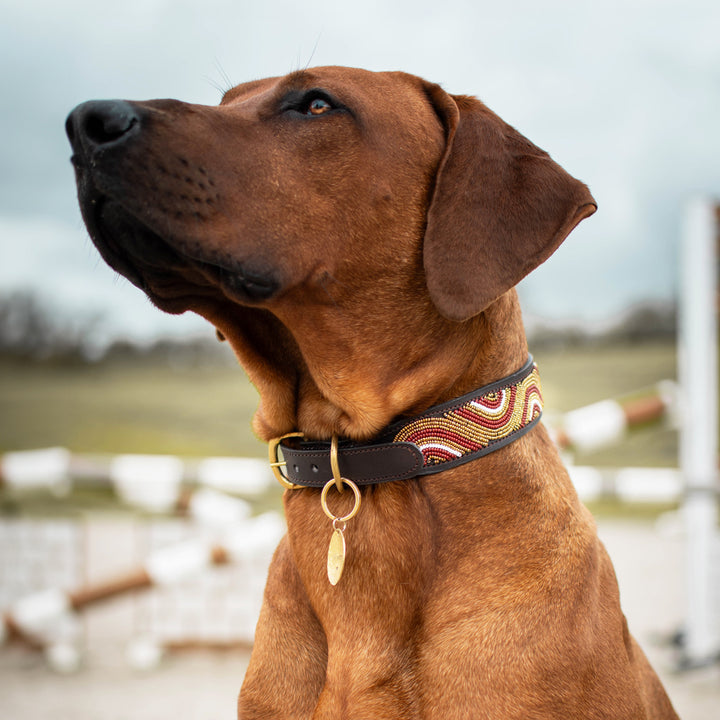 Collier pour chien en perles et cuir Gigi Wavy