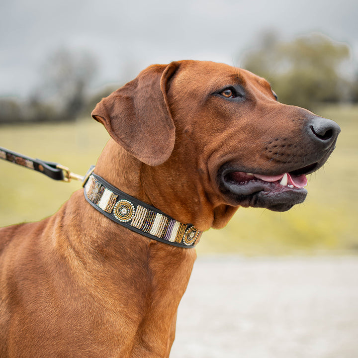 Collier pour chien en perles et cuir Gigi Golden