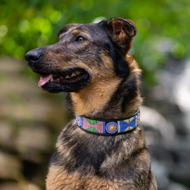Zoulou — Collier Chien - Charlie