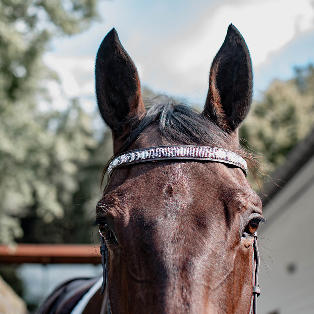 Frontal cheval en perles et cuir Gigi Violette