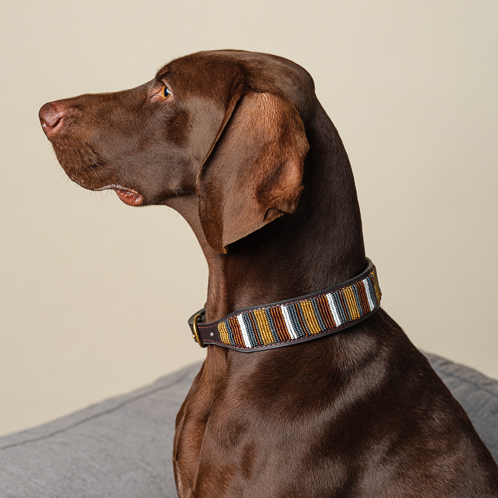 Collier pour chien en perles et cuir Gigi Titan