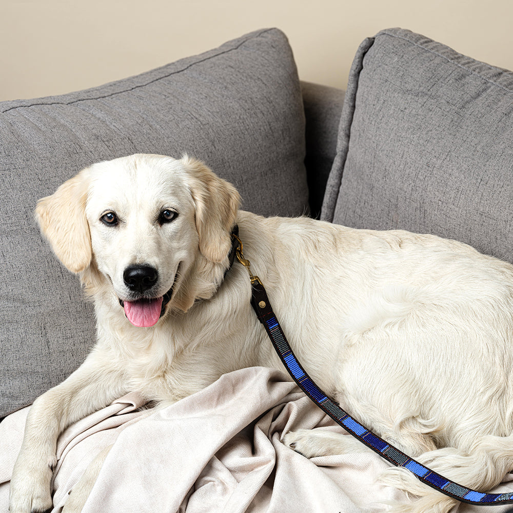 Laisse pour chien en perles et cuir Gigi Chapka